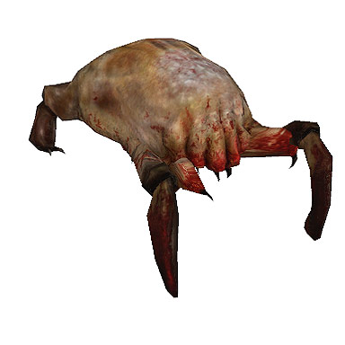 Headcrab! Headcrab!