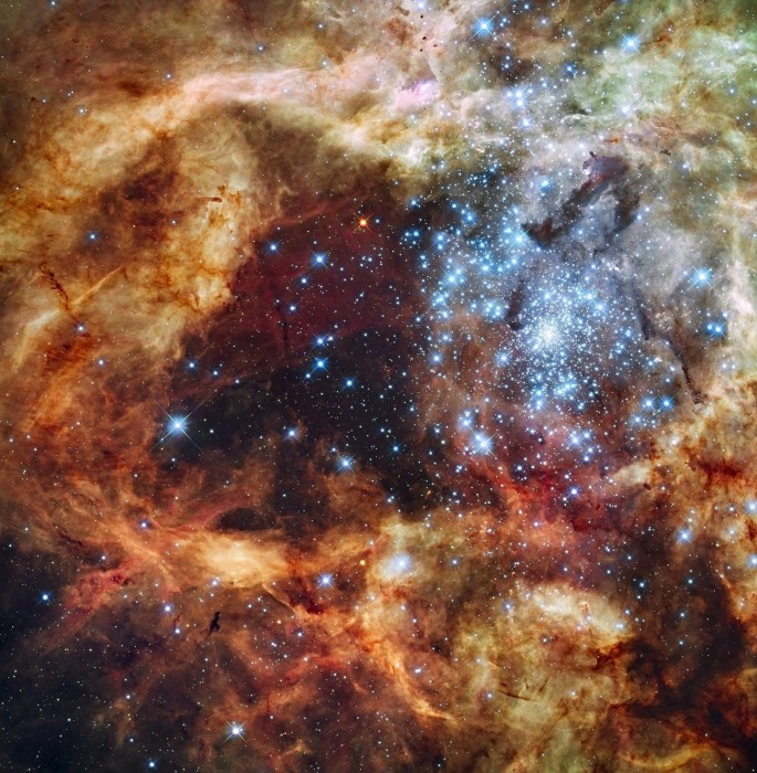 Stellar nursery Stellar nursery